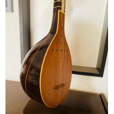 Setar Rosewood/maple By Hossein Karimian/In Stock!